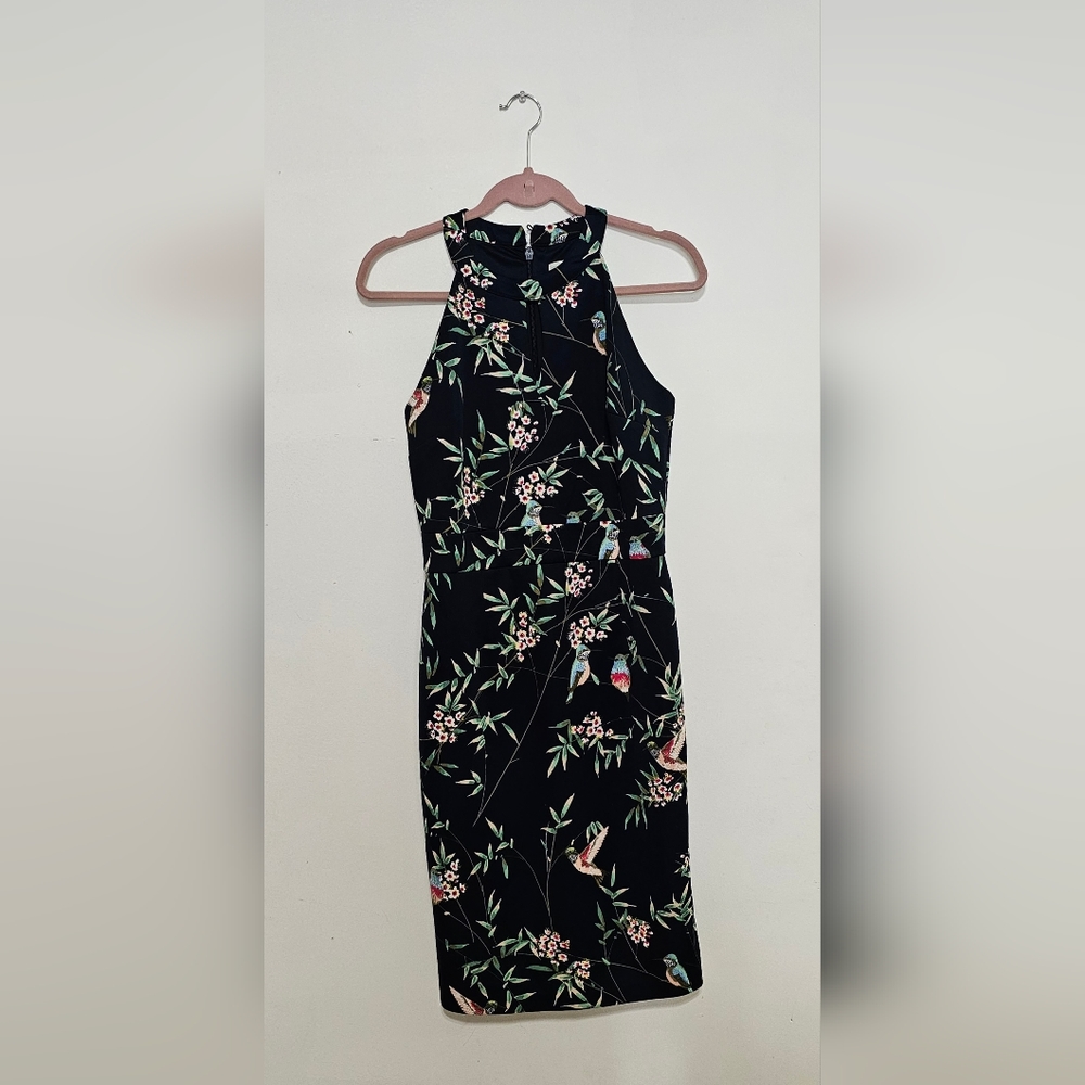 Pencil Dress,  beautiful birds and floral